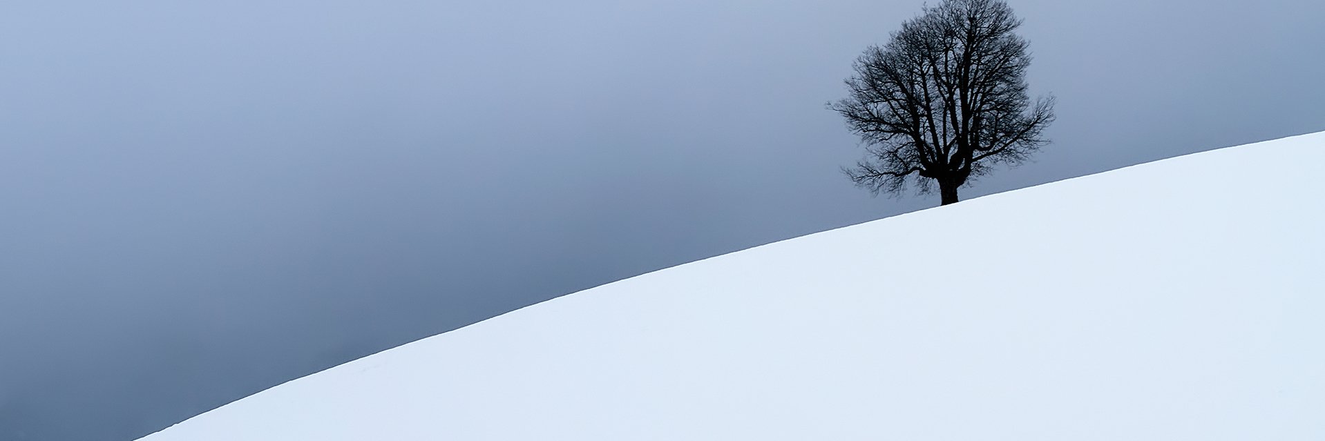 Iñaki B banner