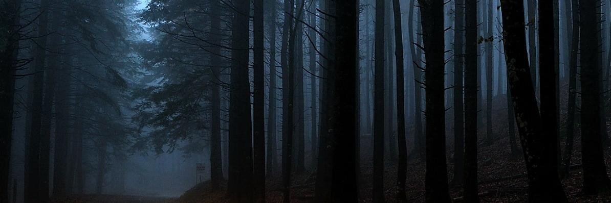 noturningback03's profile banner image
