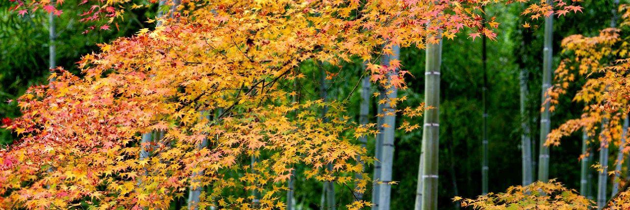 oso20j's profile banner image