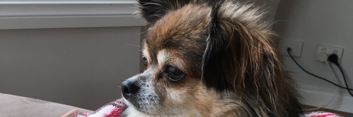 MadeleneOakley's profile banner image