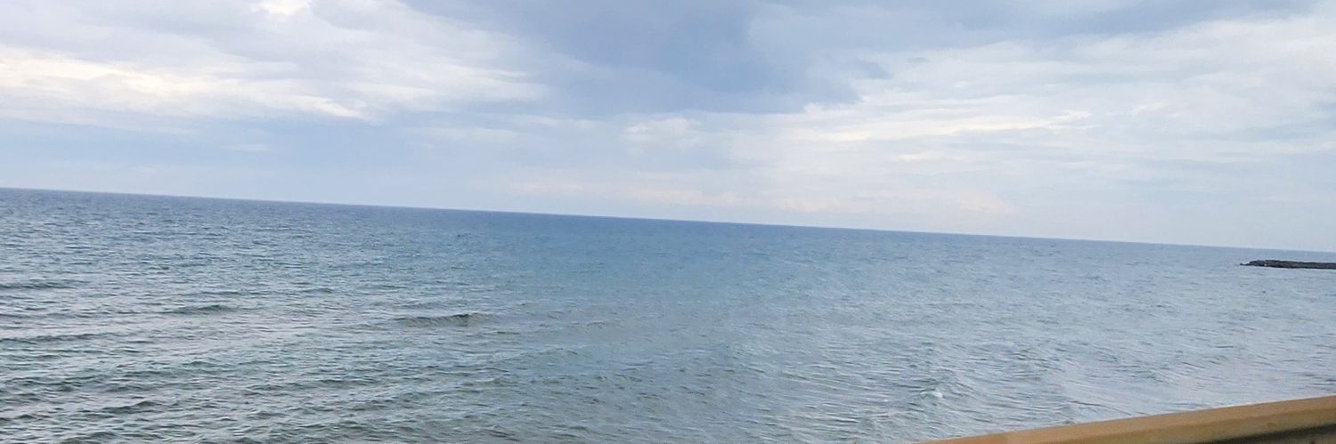 thripsee's profile banner image