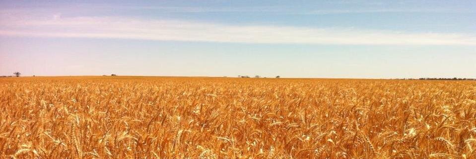 craig_agro's profile banner image
