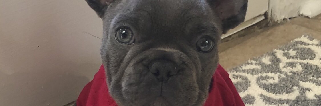 Richard Lacovara banner