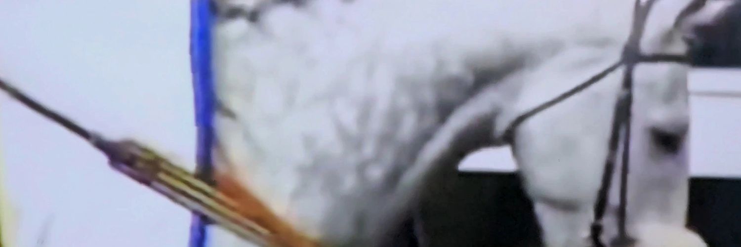 GreySombrero's profile banner image