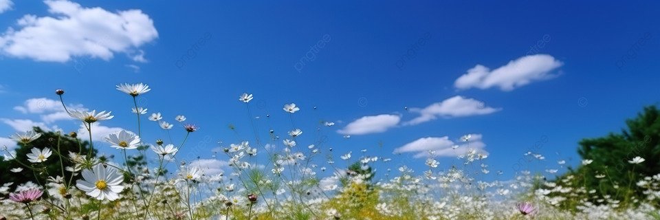 Mario Alvarenga (Ø,G) banner