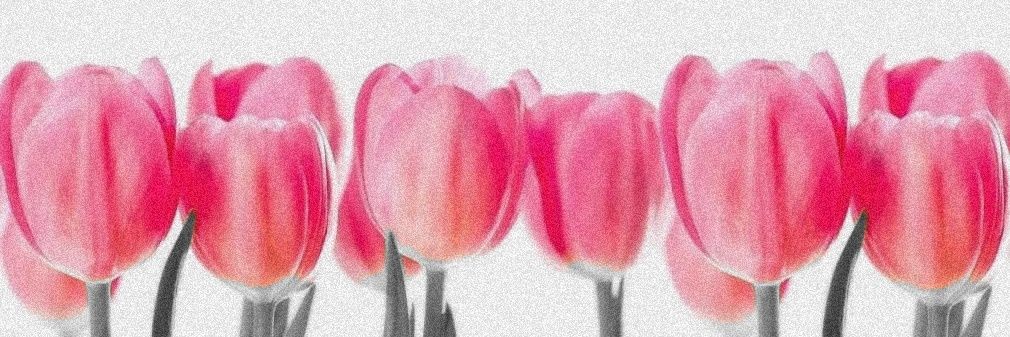 jessno_19's profile banner image