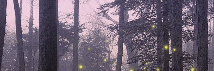Sean banner