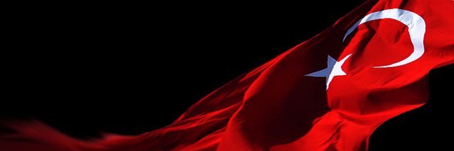 👑 𐱅𐰇𐰼𐰰 🐺🤘🇹🇷 banner