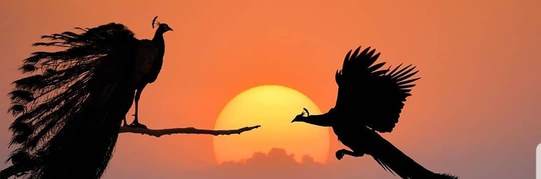 OdeleyeWole's profile banner image