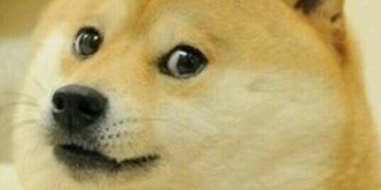 XBLwook69's profile banner image