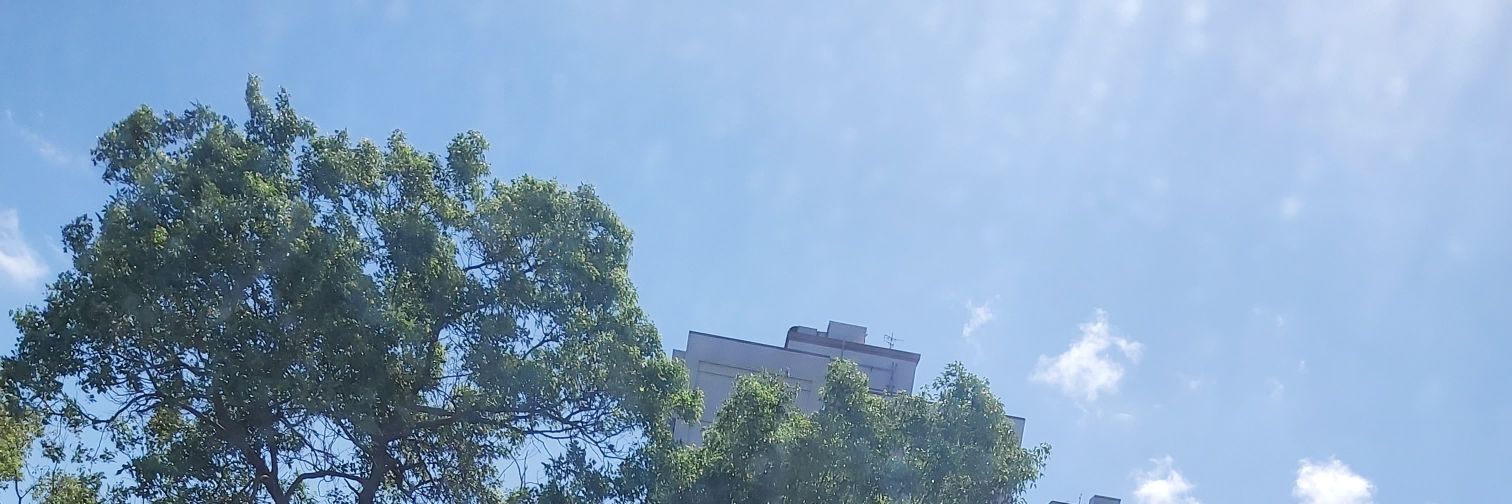 颯太 banner