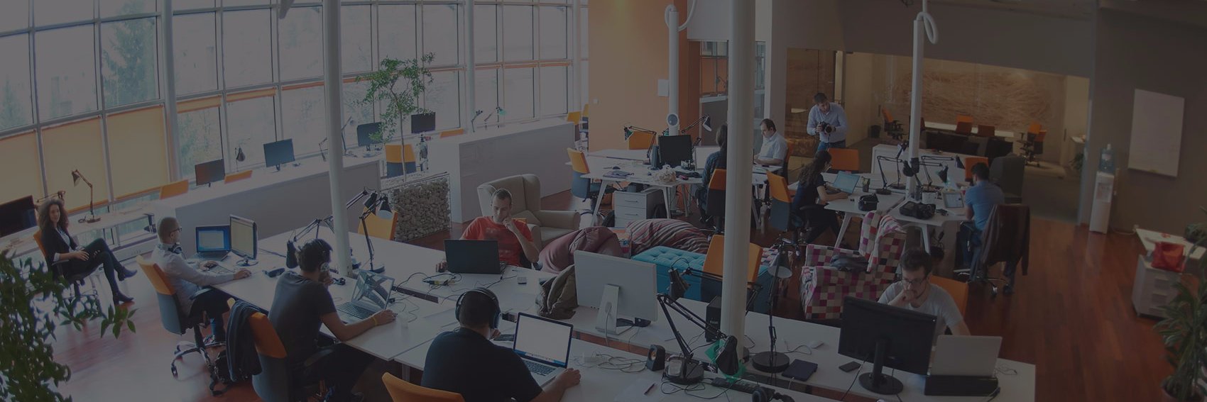 springgapp's profile banner image