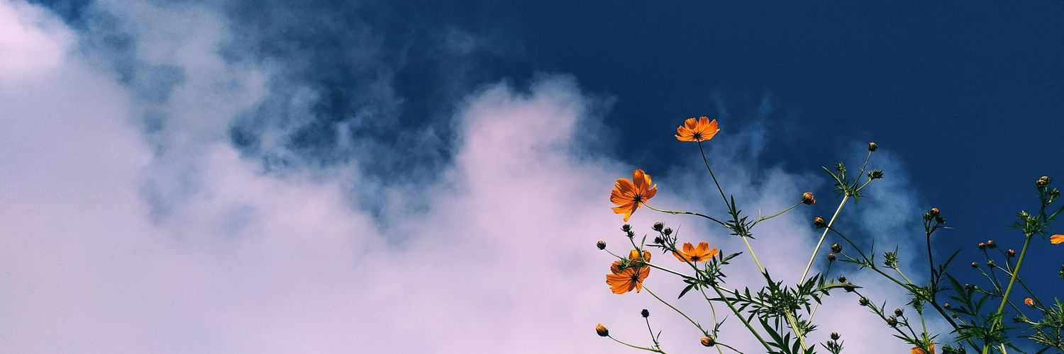 iamsomul's profile banner image