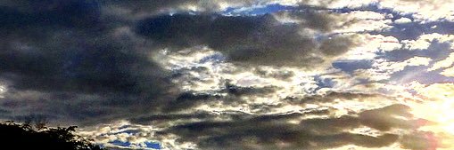 Roniel Lustosa banner