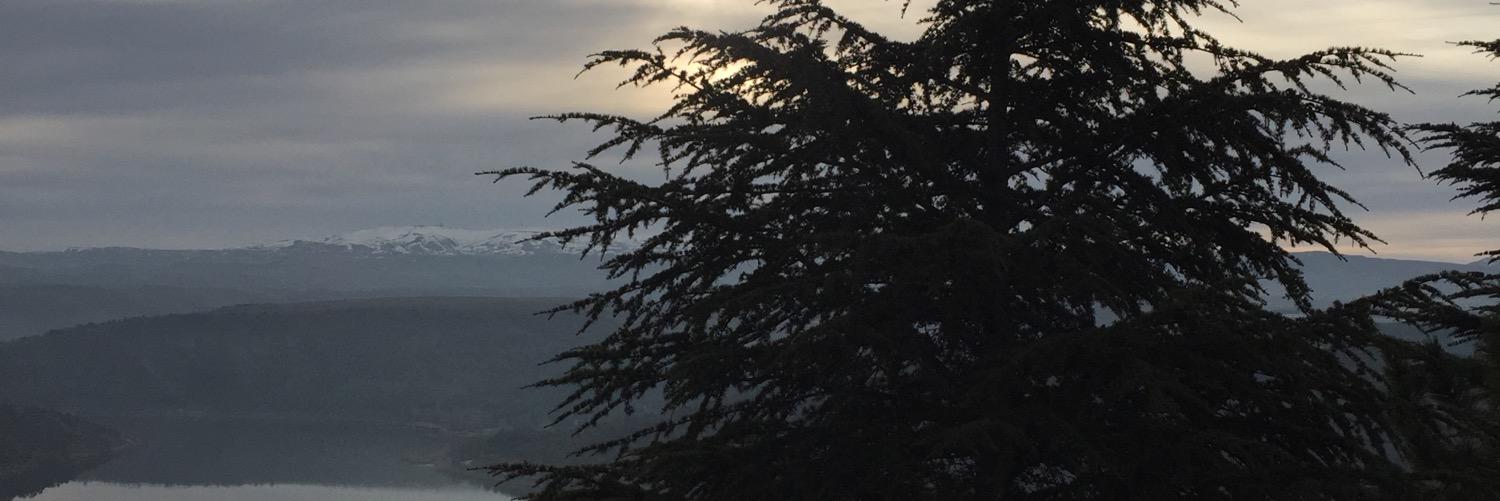 Ayhan TAŞOĞLU banner