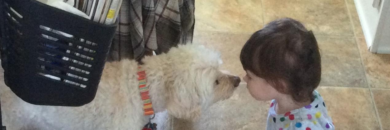 briebop127's profile banner image
