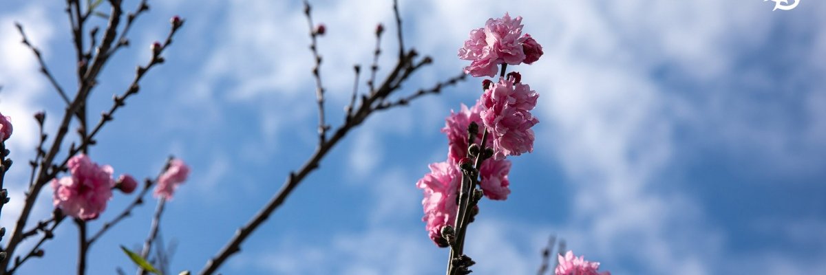 coutten's profile banner image