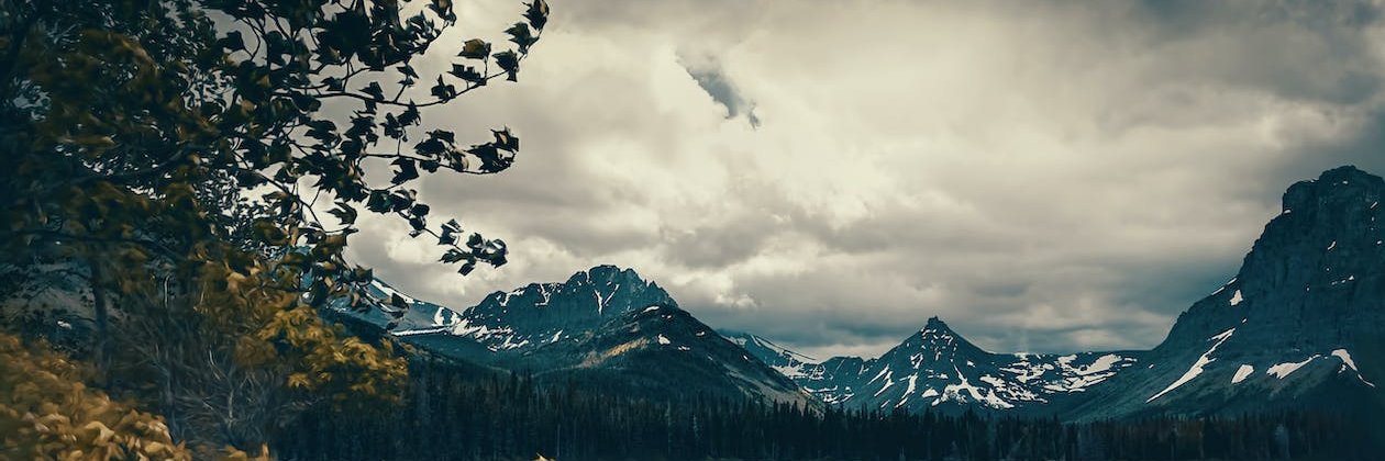 Meagen Fisher banner