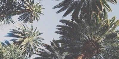 Beaurpgabt2's profile banner image