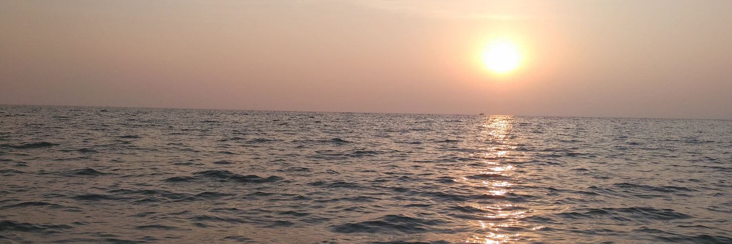 dsadulla1's profile banner image
