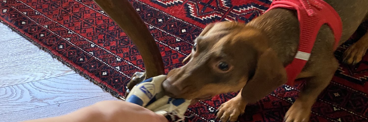 Max 🇪🇺🇩🇪 banner