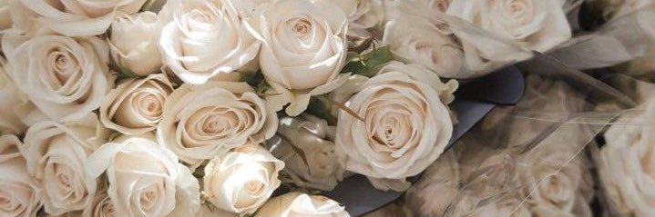 Ms_JLacey's profile banner image