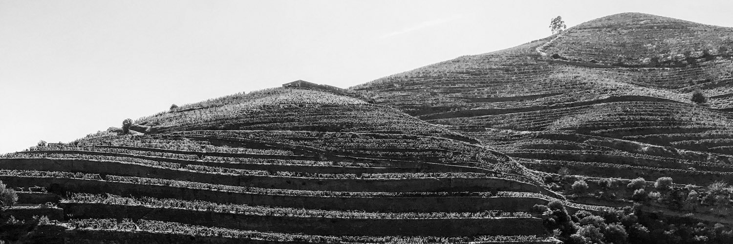 Andrés Rangel banner