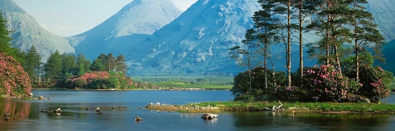 Marina Puente 🍏 banner