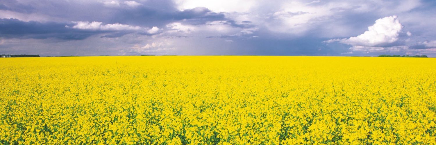 Agviser Crop Mgmt banner