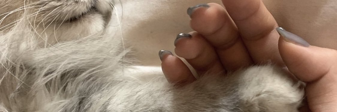 _Bonnenuit__'s profile banner image
