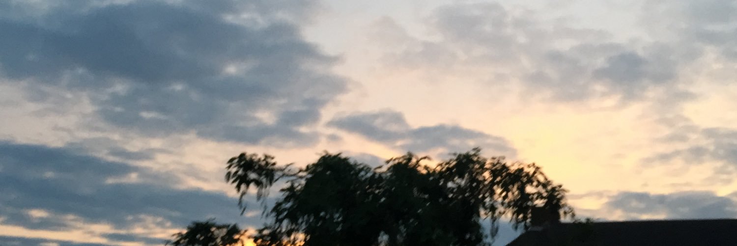 Zoe_Harrison98's profile banner image