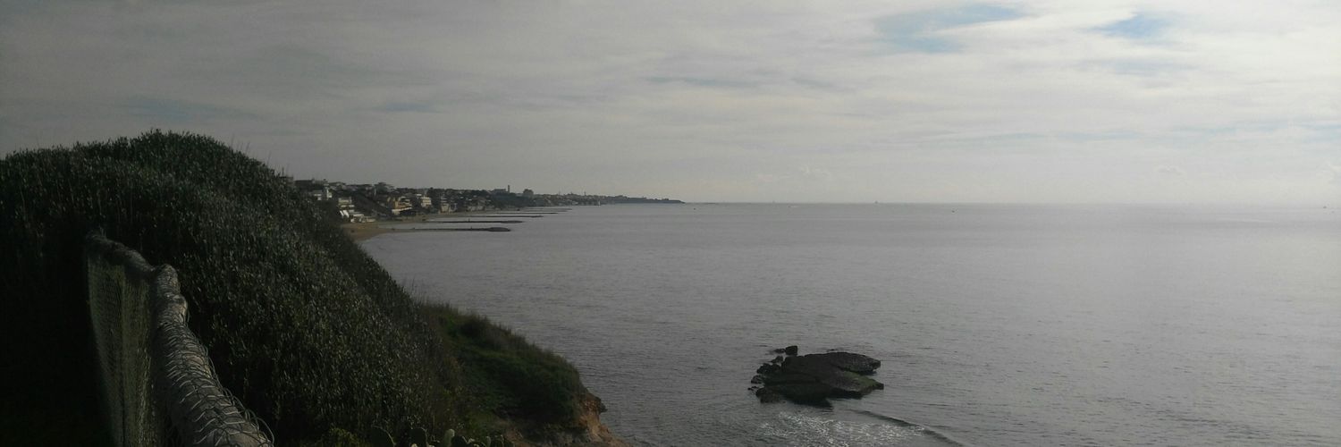 Patacchella's profile banner image