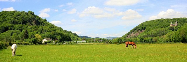Andrew Yearsley banner