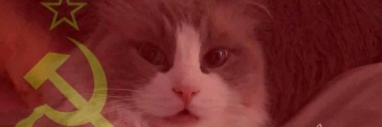 bubufinehouse's profile banner image
