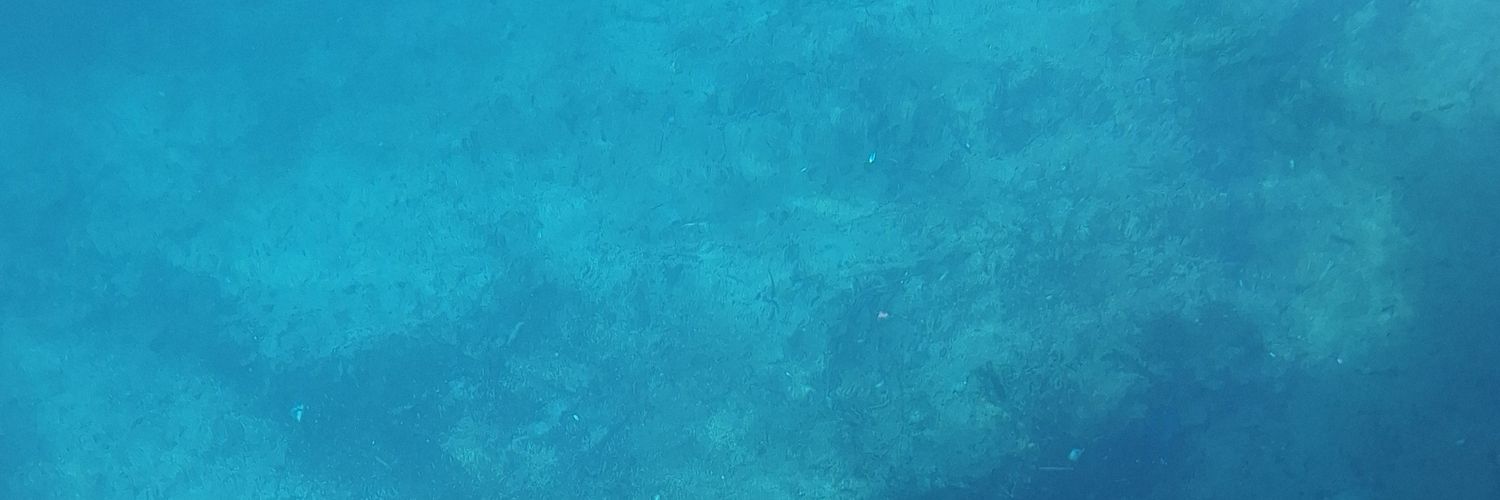 SolMayantz's profile banner image