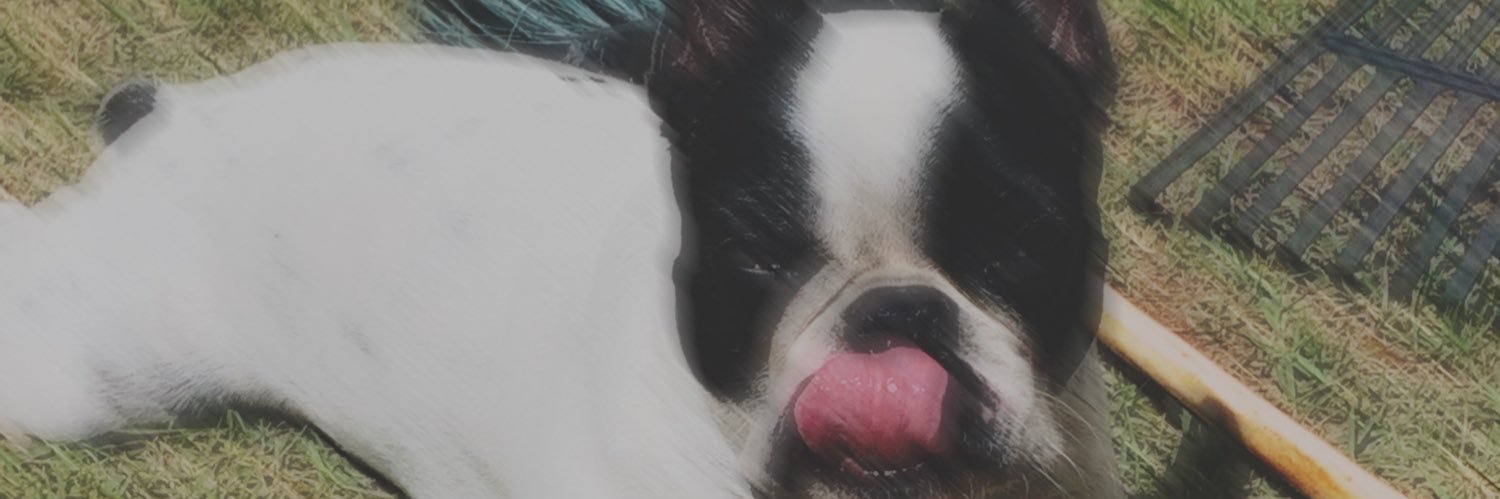 isacharron's profile banner image