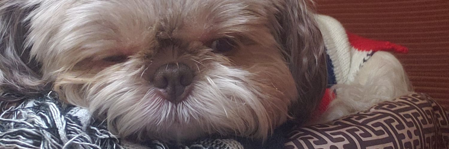 Dr. Diamond Forde banner