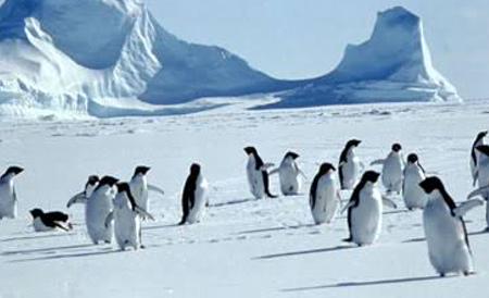 6pengin's profile banner image