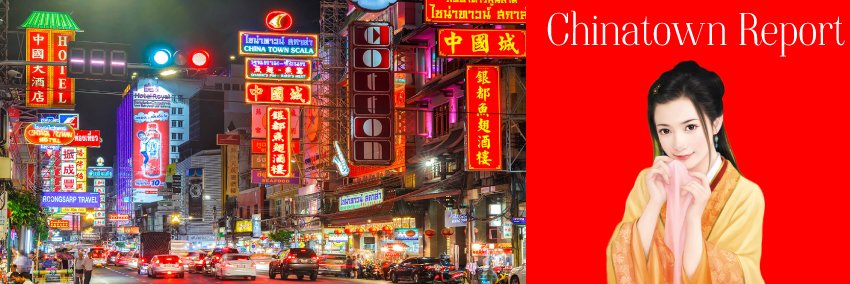 Chinatown Report banner