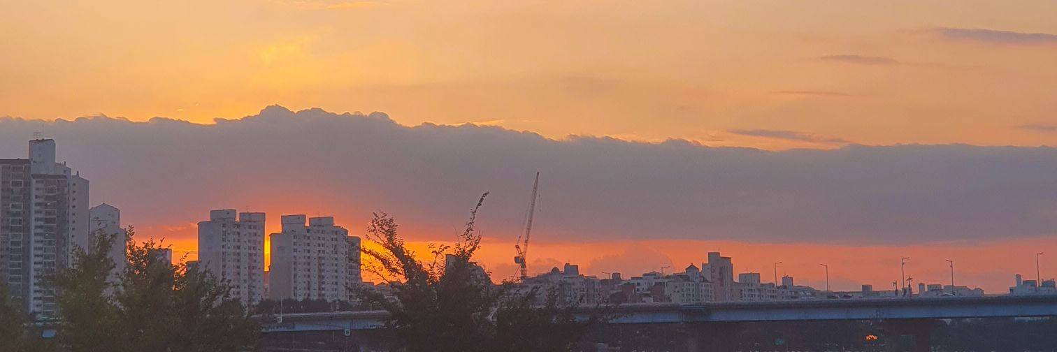 ___skyway's profile banner image