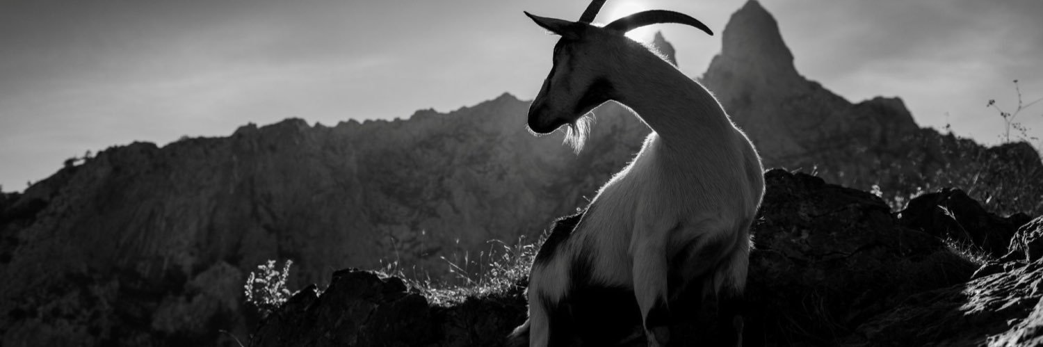 JZamora29's profile banner image