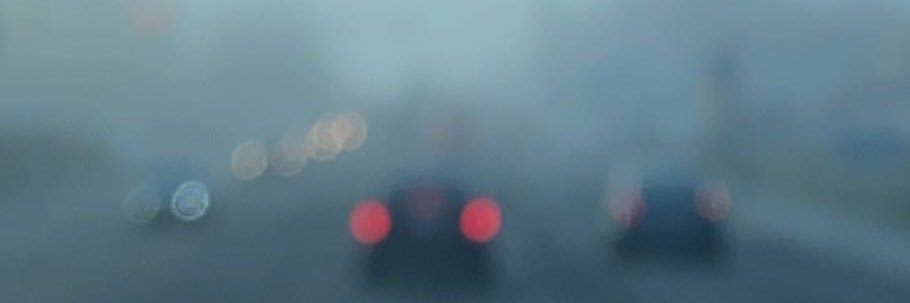 Terpfiens's profile banner image