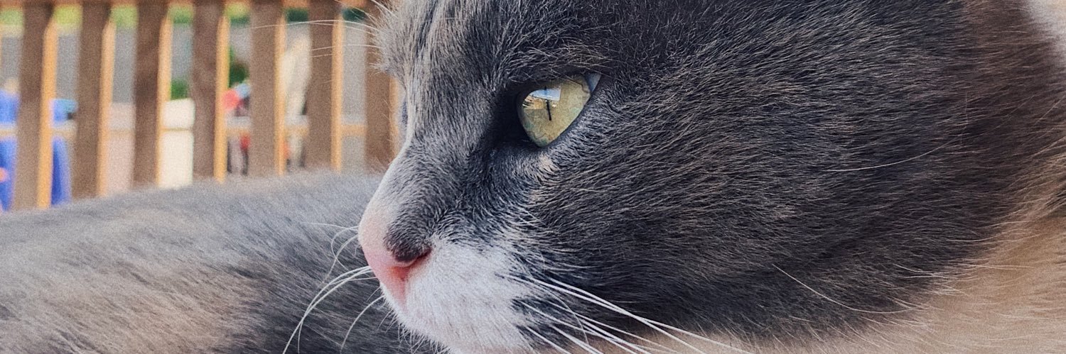 albxrtruiz's profile banner image