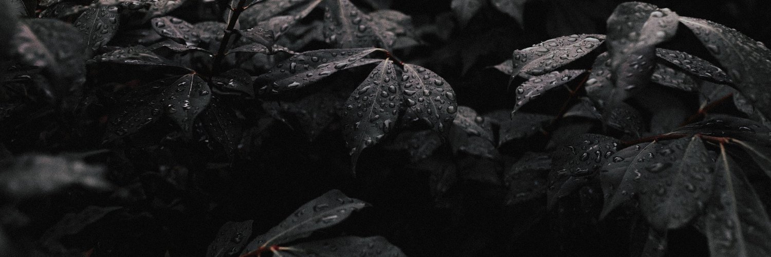 dreamdiary's profile banner image