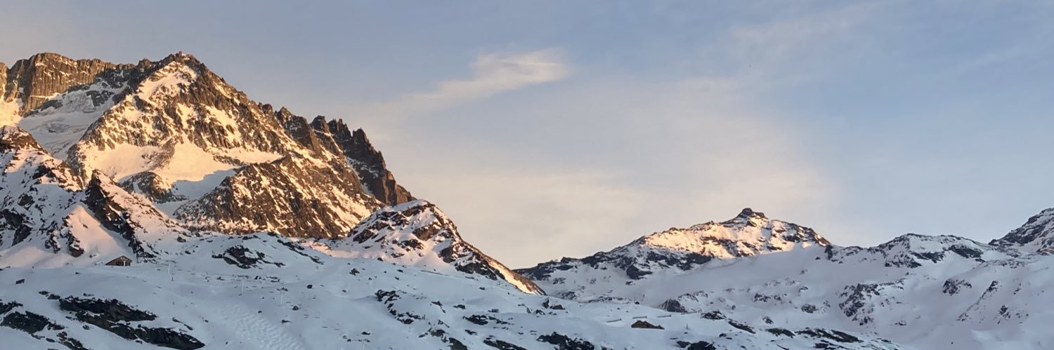 Fleur banner