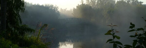 drljorchard Profile Banner