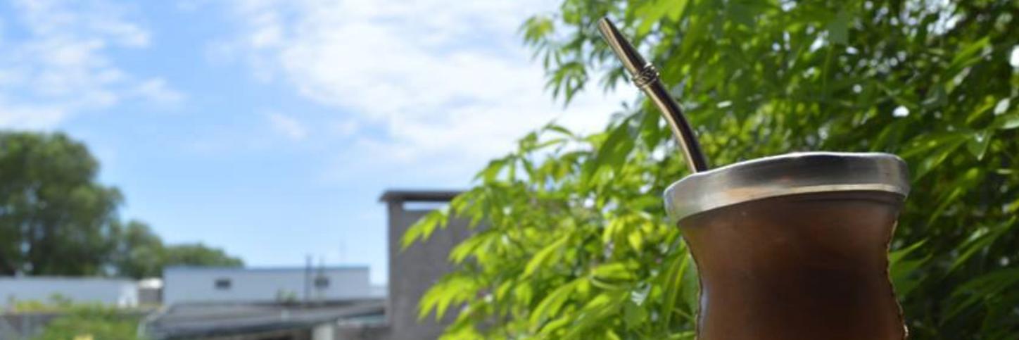 GVTNoticias's profile banner image