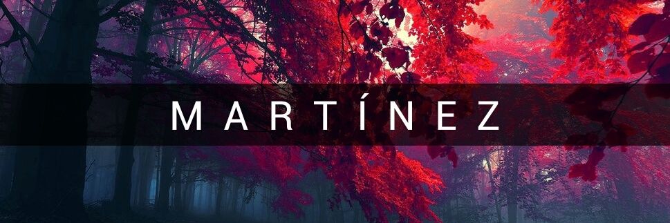 Nancy Martínez banner