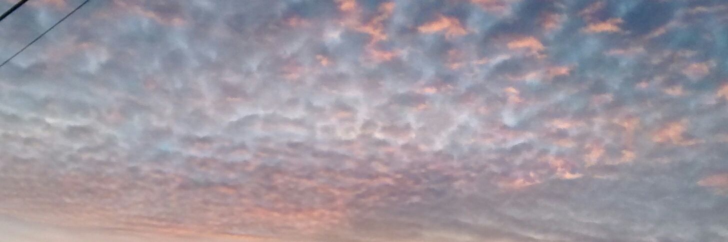 starrangel7328's profile banner image