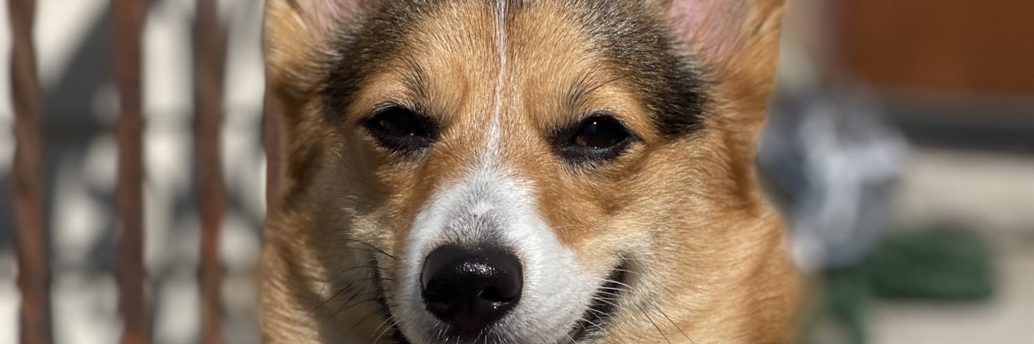 bxbytooth's profile banner image